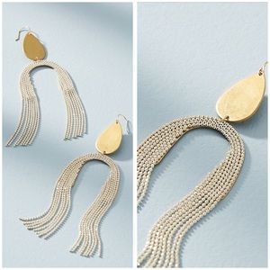 NWOT Bryleigh Fringe Drop Earrings